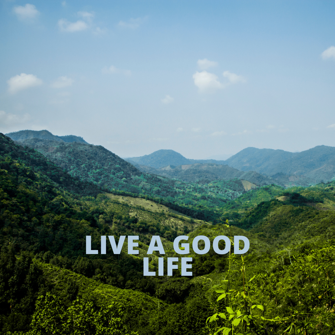 LIVE A GOOD LIFE